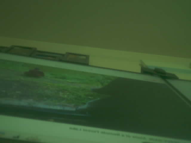 Sample plant camera image.